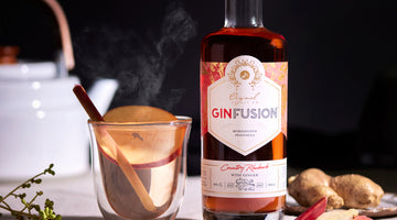 Gin Hot Toddy Featuring Ginfusion