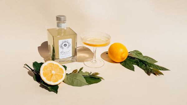 Fine Spirits & Liqueurs