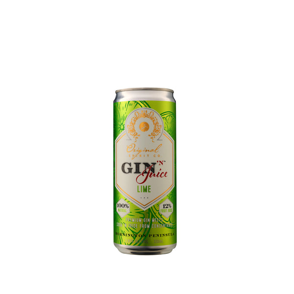 A can of Gin 'N Juice Lime flavored ready-to-drink sparkling gin beverage.