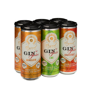 A set of six Gin 'N Juice iCans n different flavours: Lime, Mandarin, and Grapefruit. Each can is 330ml and they are displayed in two rows with the respective flavours in each row.