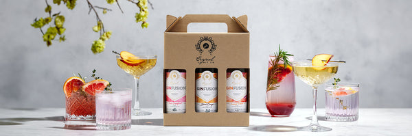 Gin Gift Sets