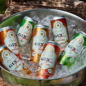 Cans of Gin N Juice sitting in a can of ice.